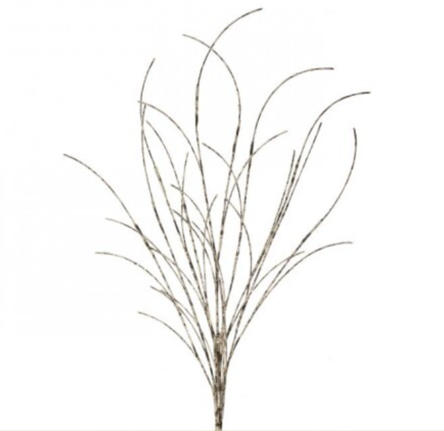 46" Iced Glitter Birch Spray
