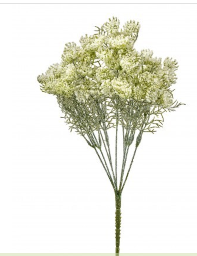 15" Wild Snowy Winter Queen Anns Lace Bush