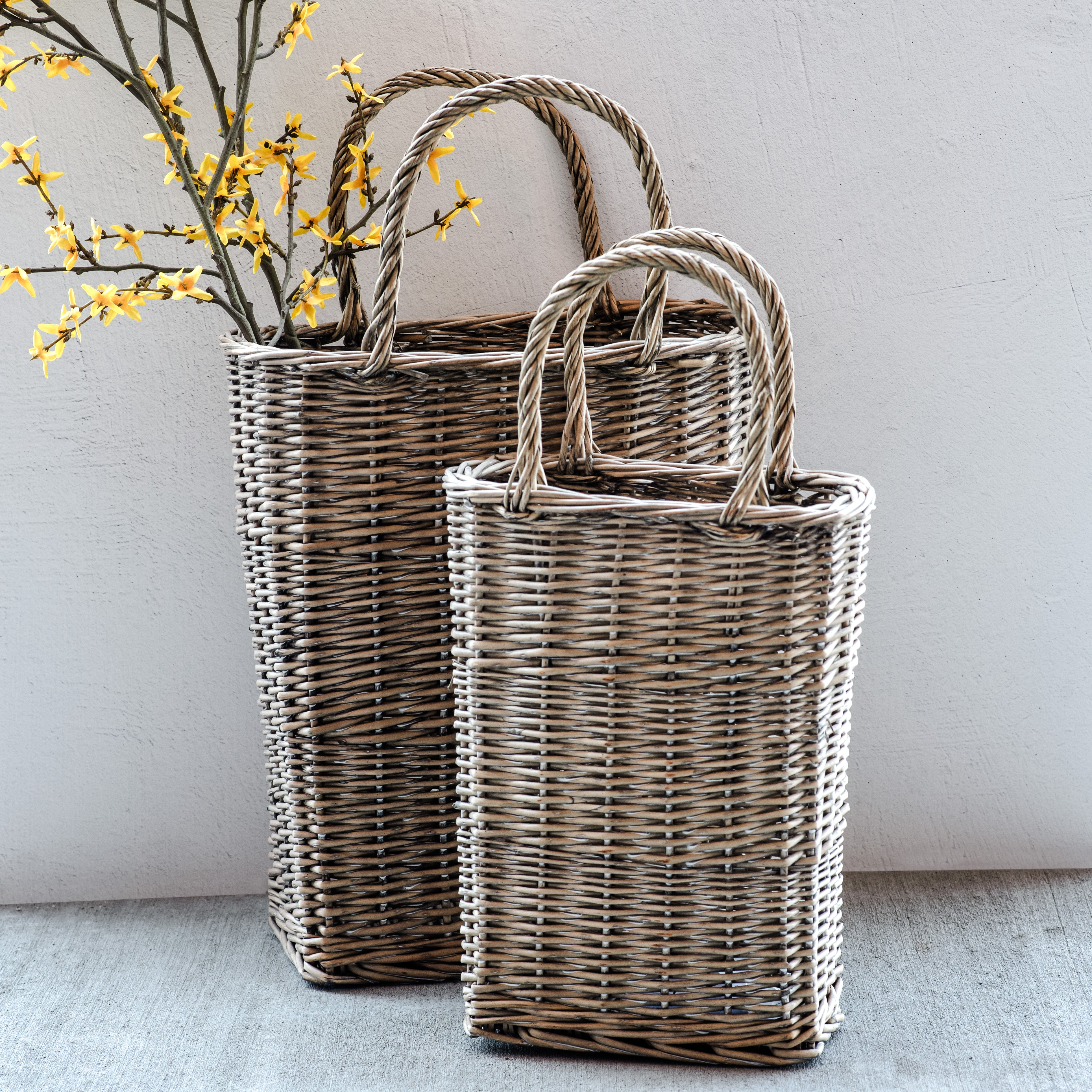 S/2 Tall French Willow Flower Baskets