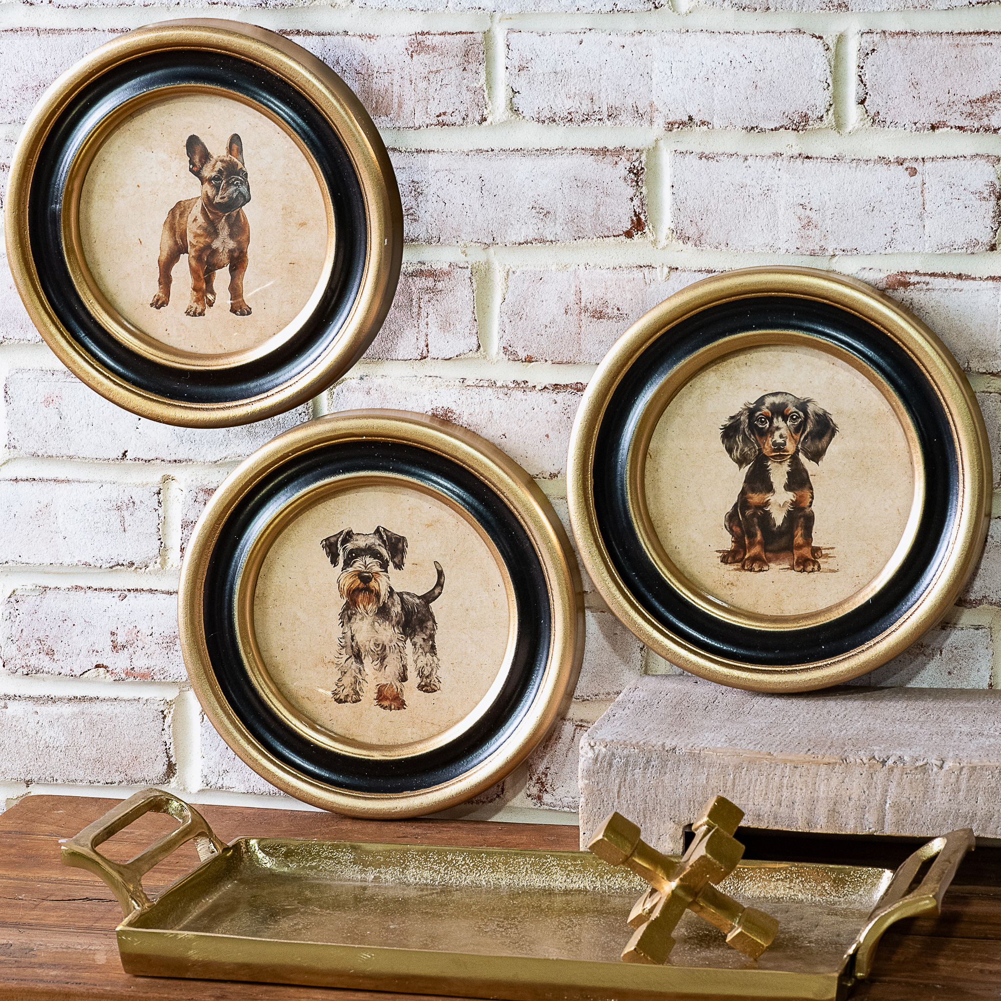 3 Asst Rd. Framed Dog Prints