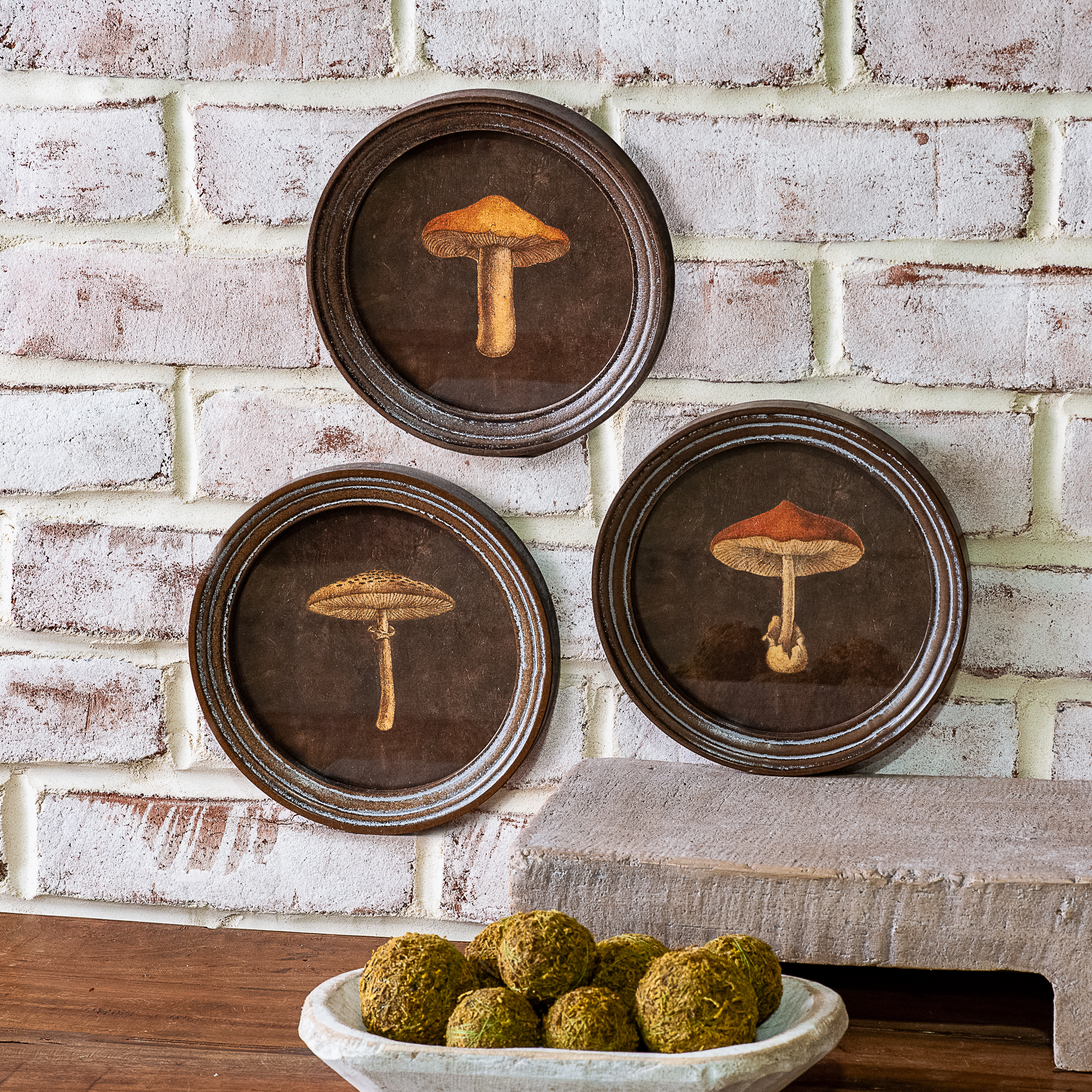 3 Asst Rd. Framed Mushroom Prints