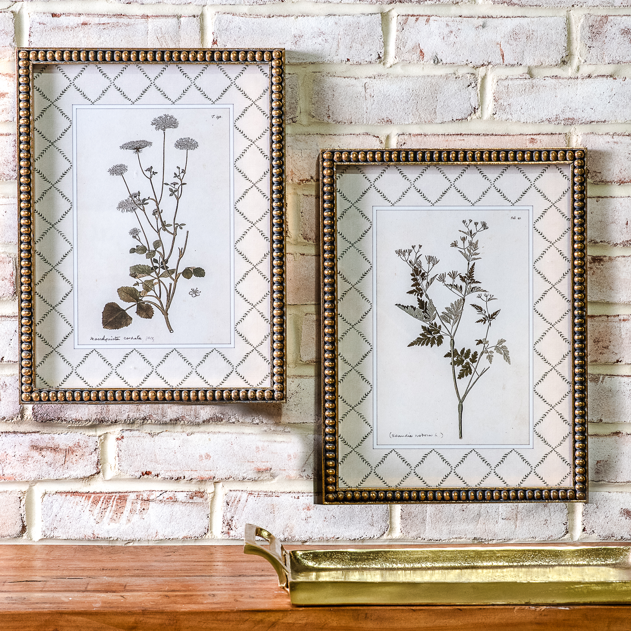 2 Asst Gold Framed Plant Prints