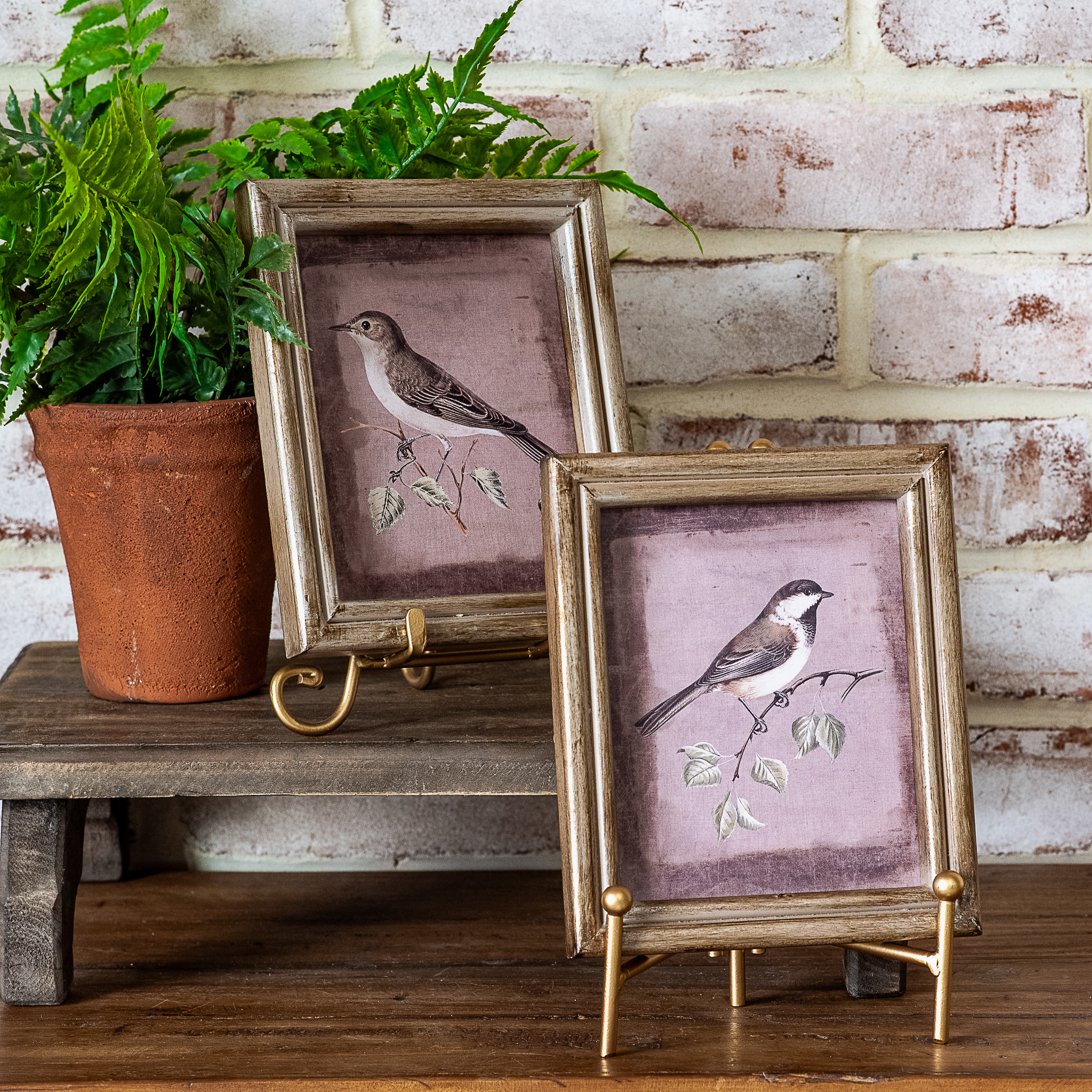 *Inner* 2 Asst 5" X 7" Bird Framed Wall Art