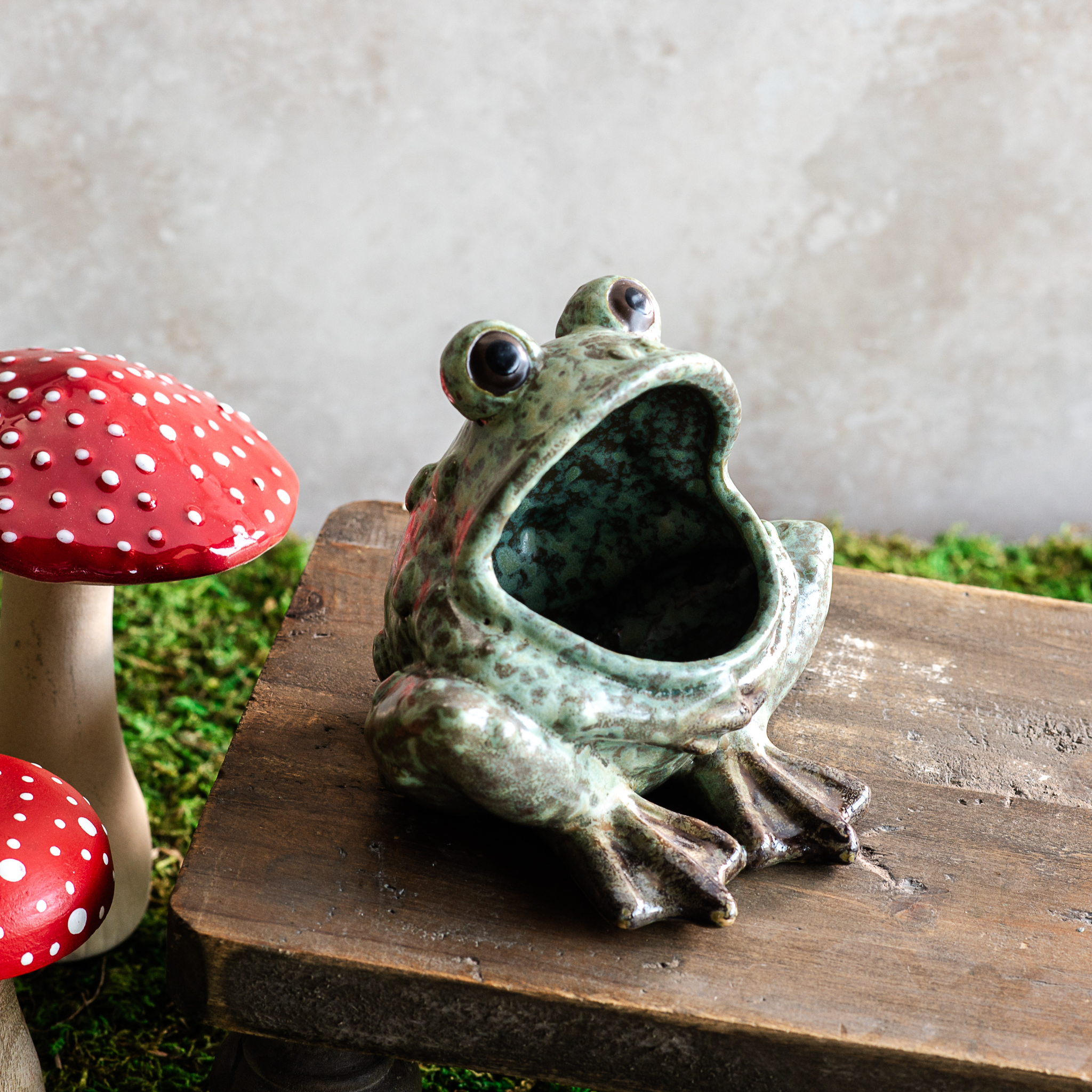 *Inner* Open Mouth Frog Planter