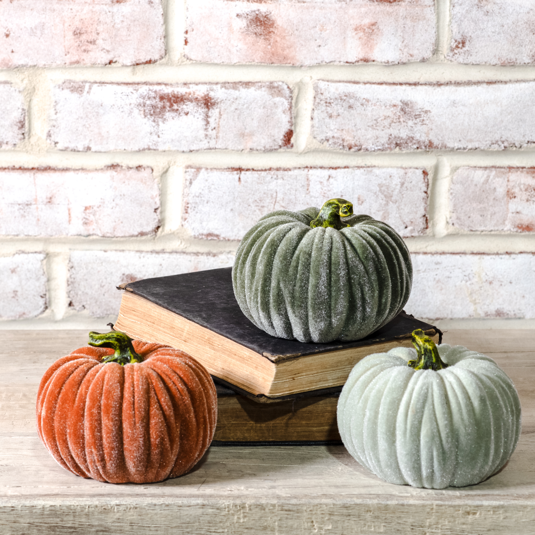 *Inner* 3 Asst 4.5"W Velvet Pumpkins