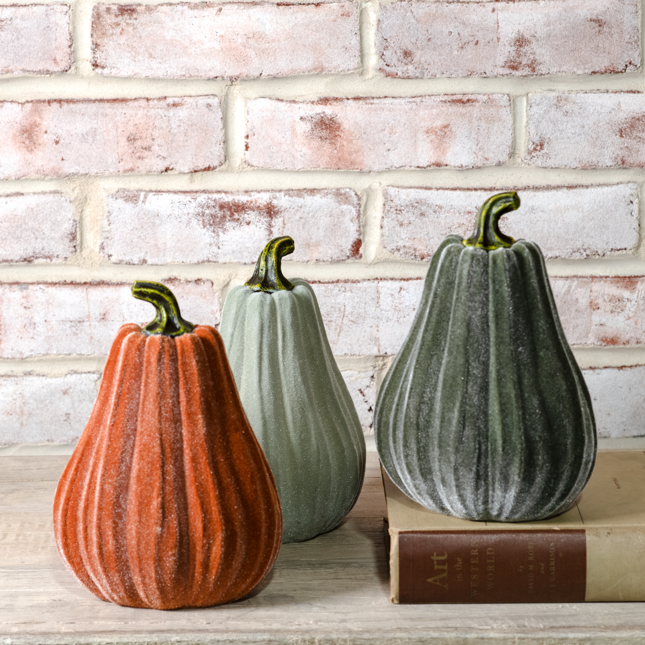 *Inner* 3 Asst 8"H Velvet Gourds
