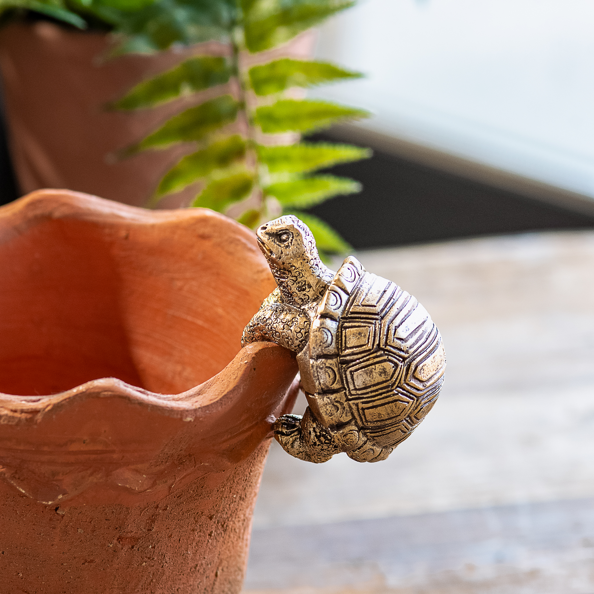 *Inner* 3" Polyresin Turtle Pot Hanger