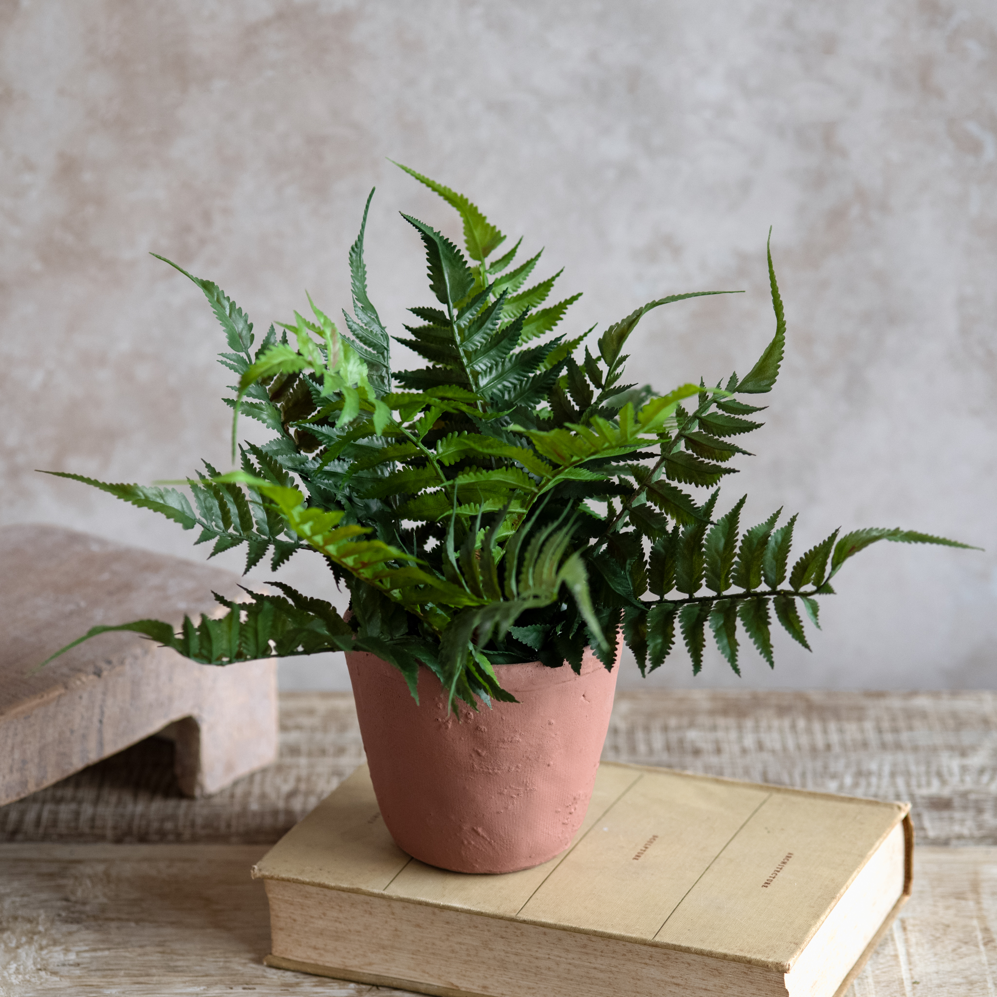 *Inner* 11.81" Fern In Cement Pot
