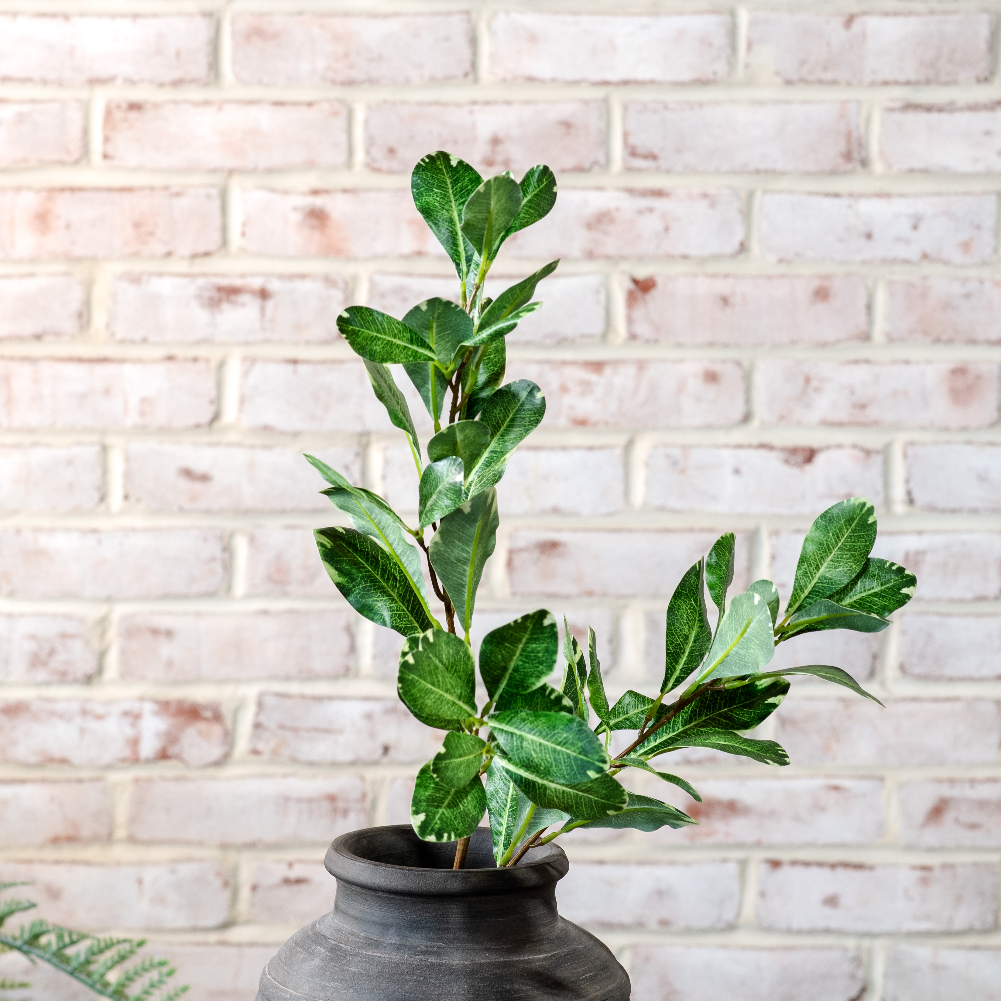 *Inner* Real Touch Pittosporum Stem
