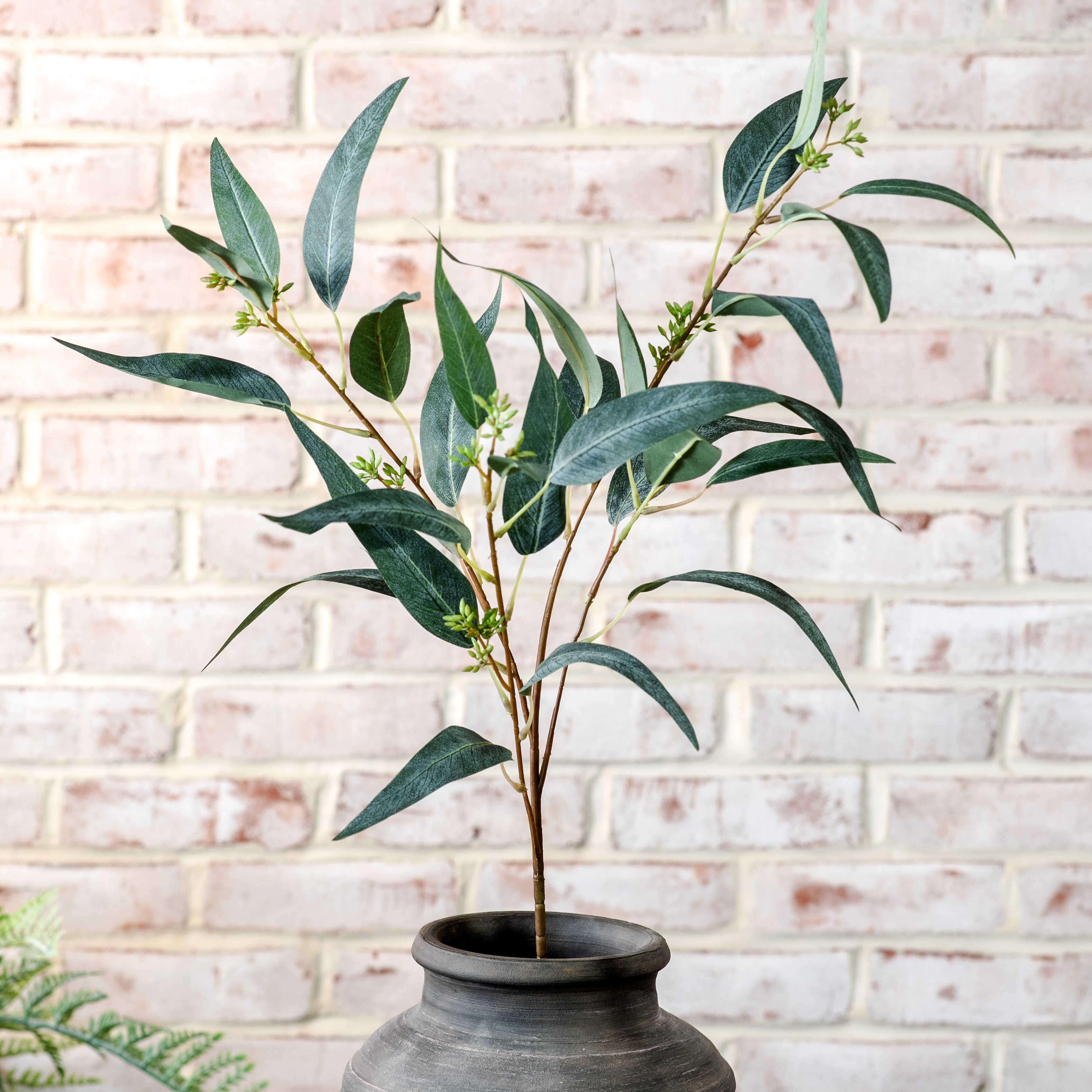 *Inner* 33" Eucalyptus W/Fruit Stem