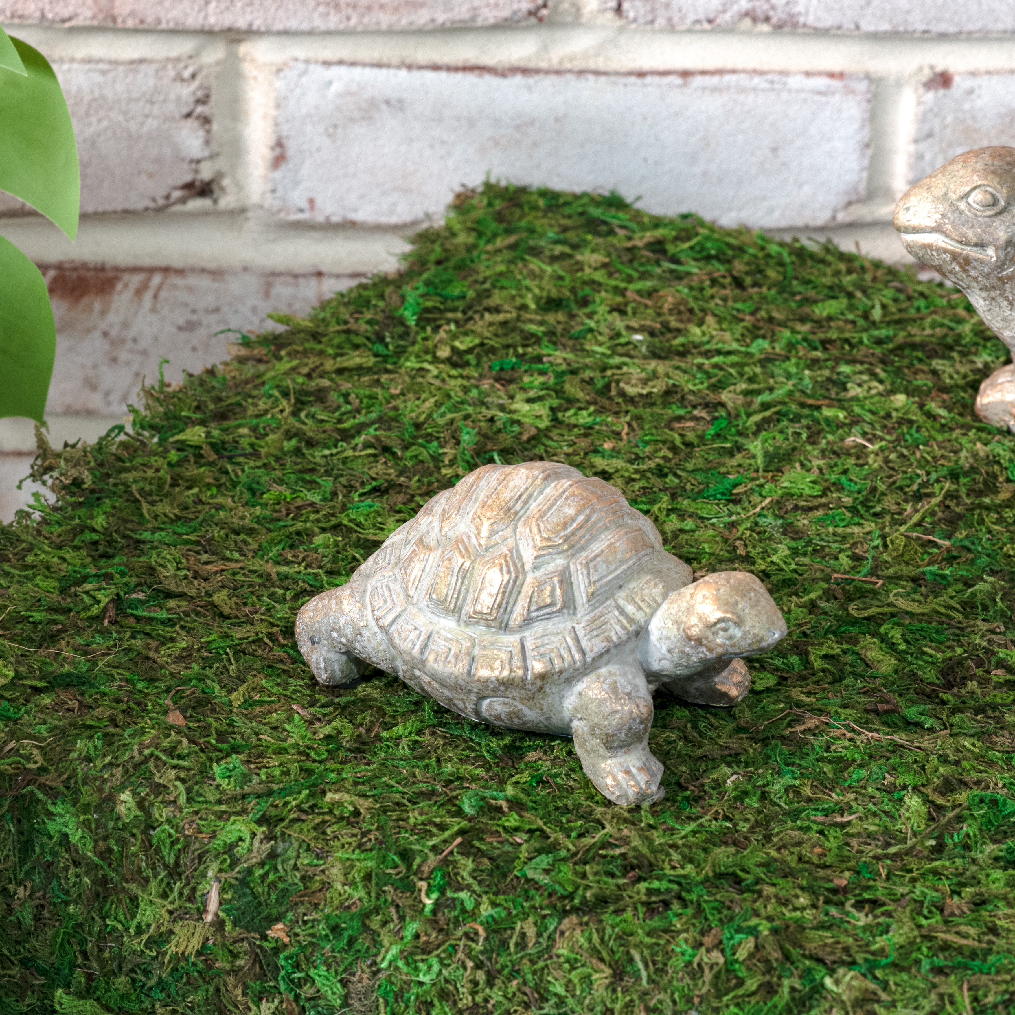 *Inner* 4.5" Gold Wash Garden Turtle