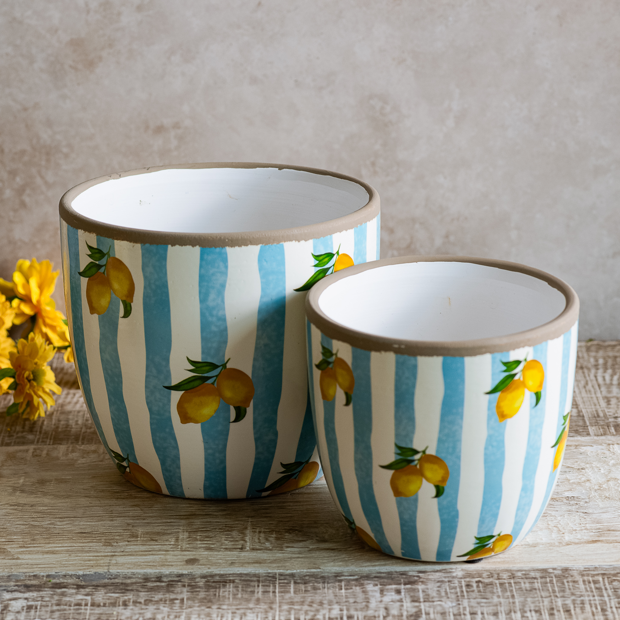 S/2 Lt Blue Stripe Lemon Planters
