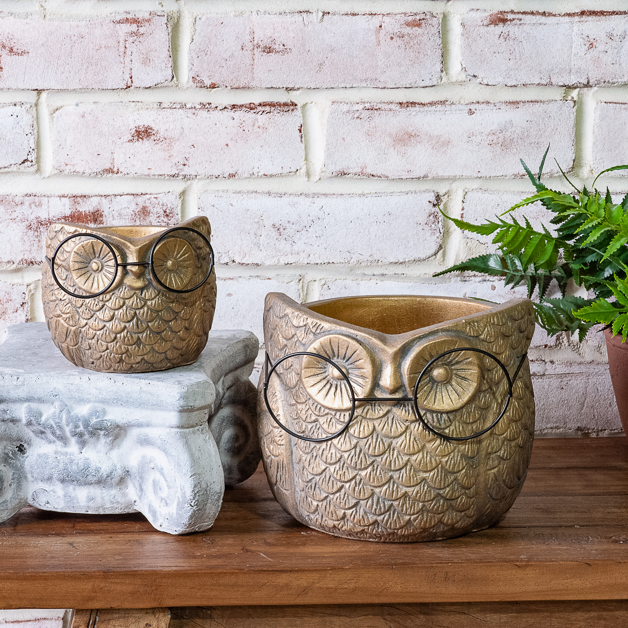 S/2 Gold Owl With Glasses Planter