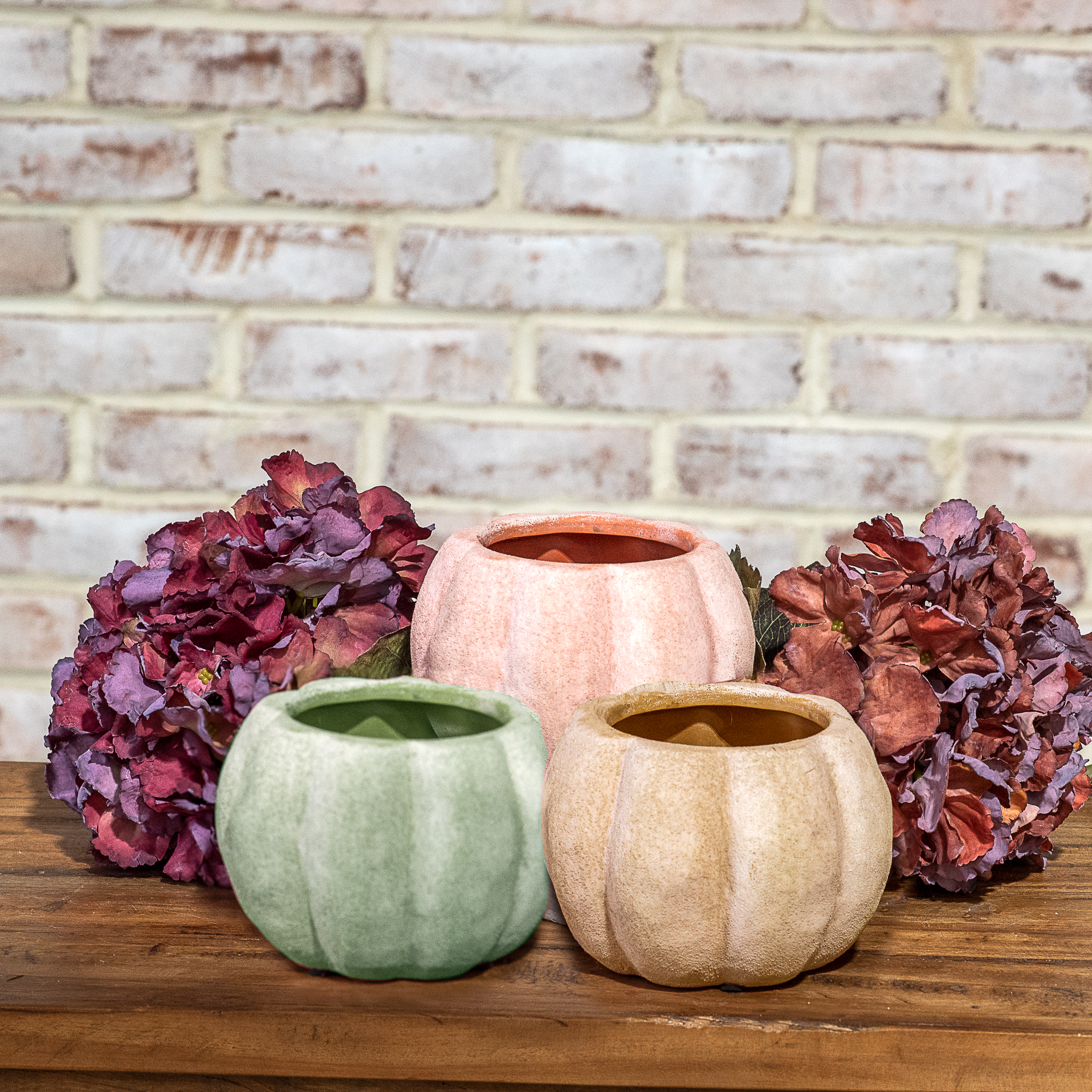3 Asst. 5.5" Fall Open Top Pumpkins