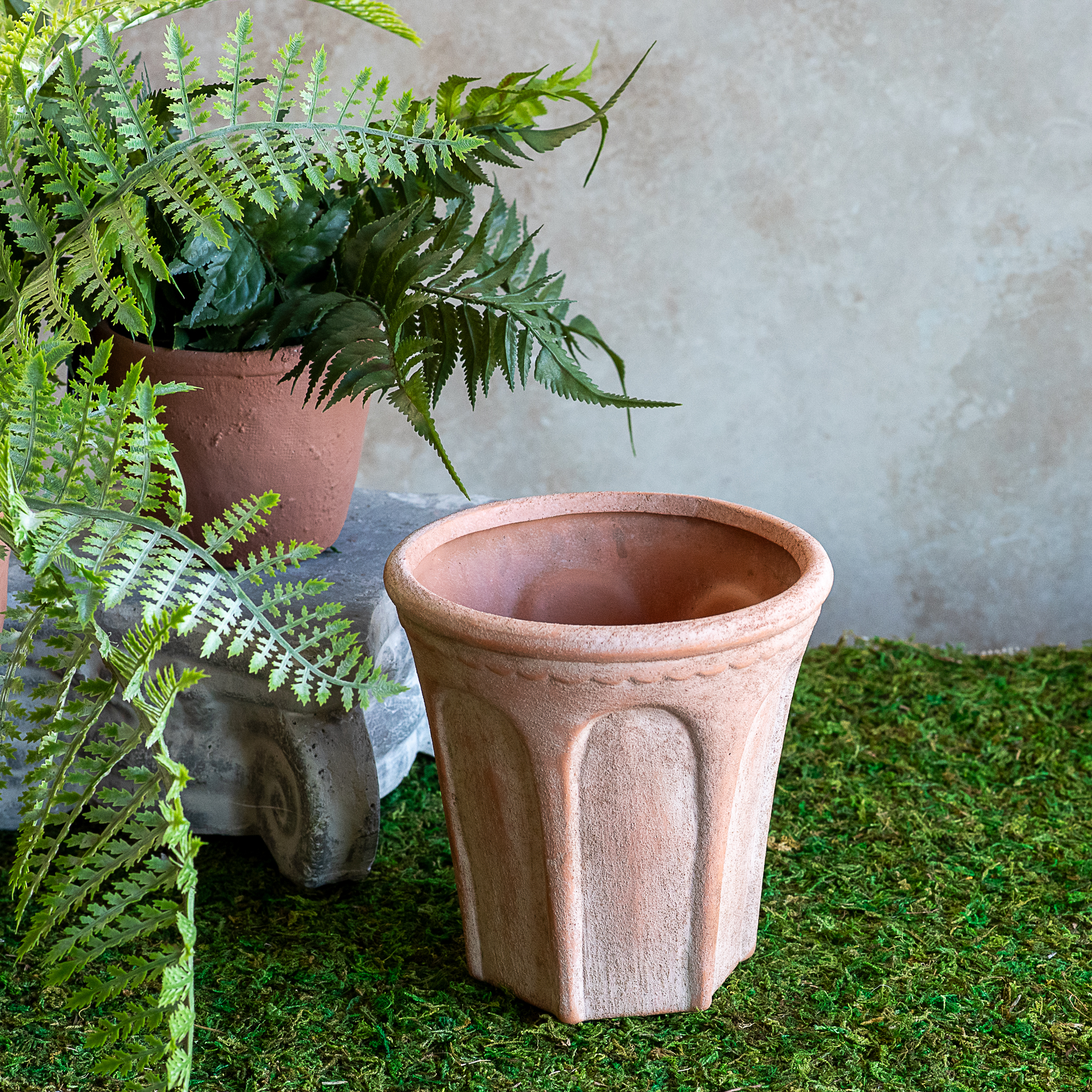 6.5" Roll Edge Terra Cotta Pot