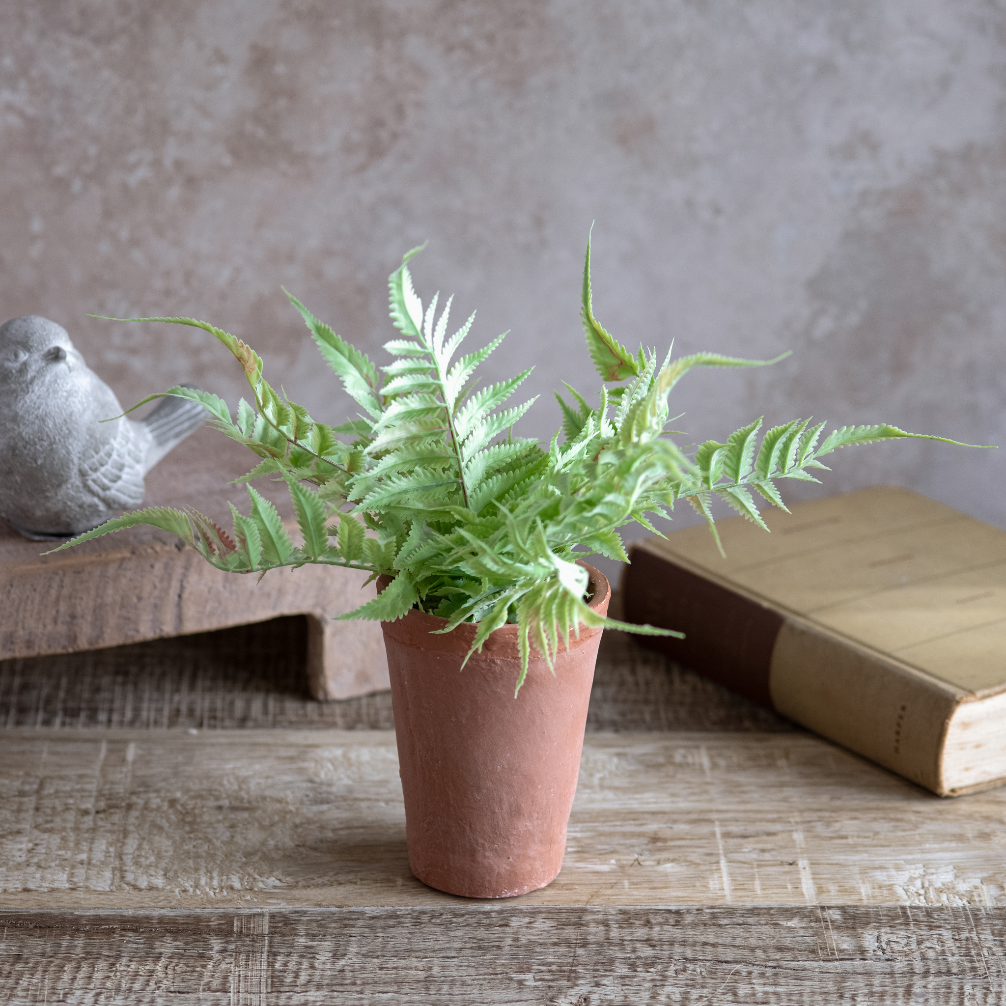 *Inner* 13" Fern In Pot