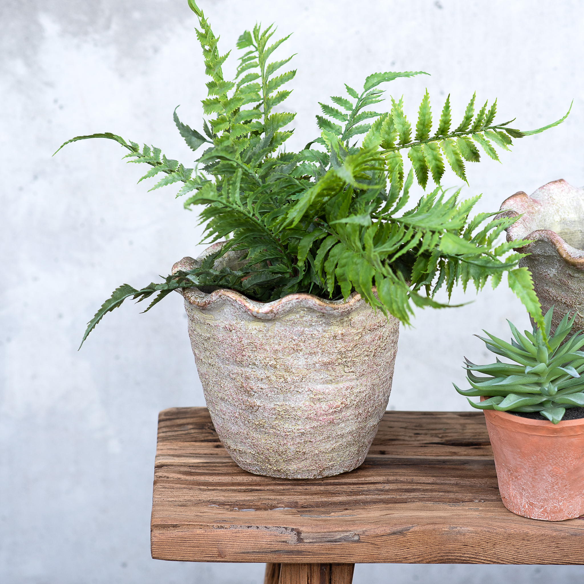 6"H Verdi Copper Ruffle Edge Planter
