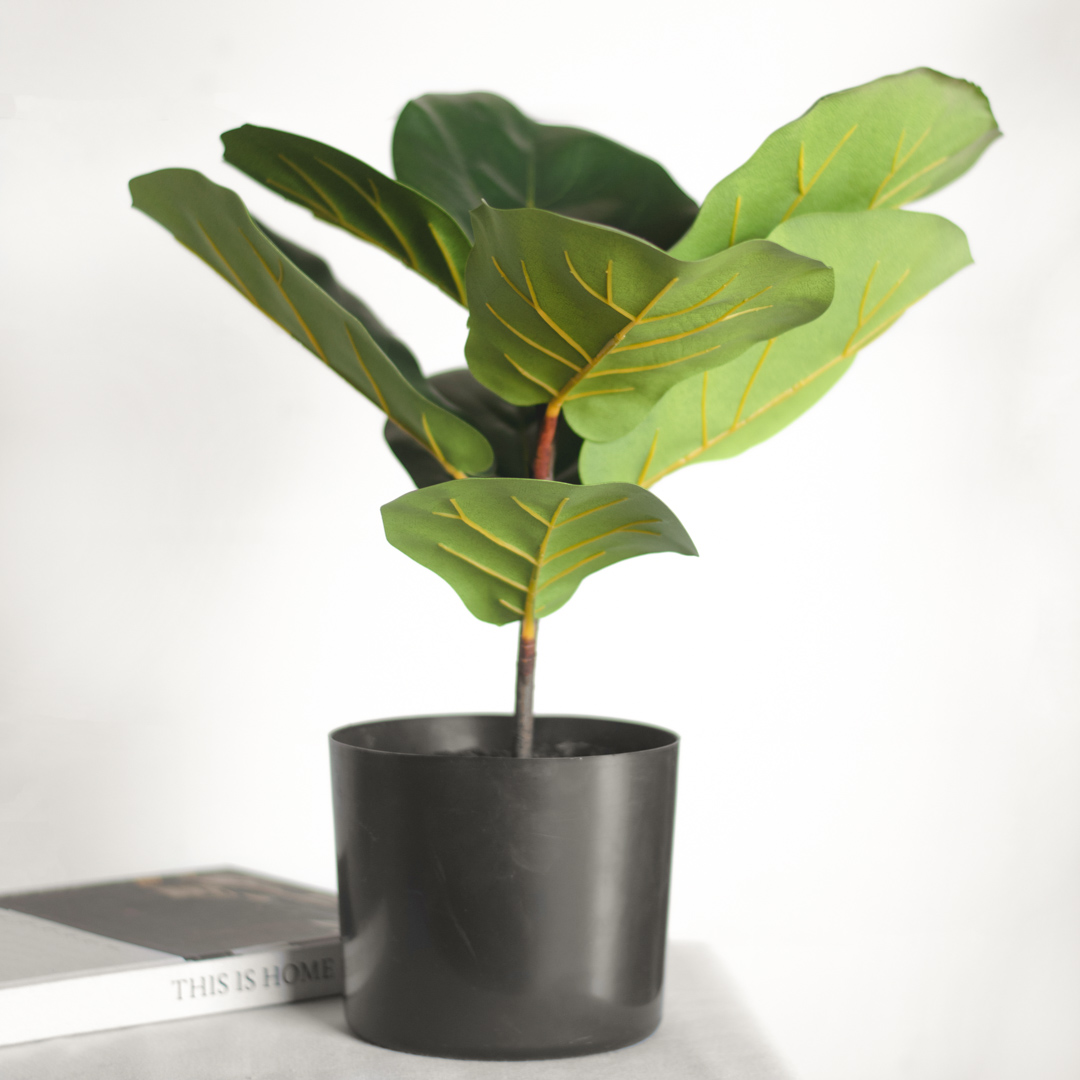 19.7" Fiddle Leaf Tree
