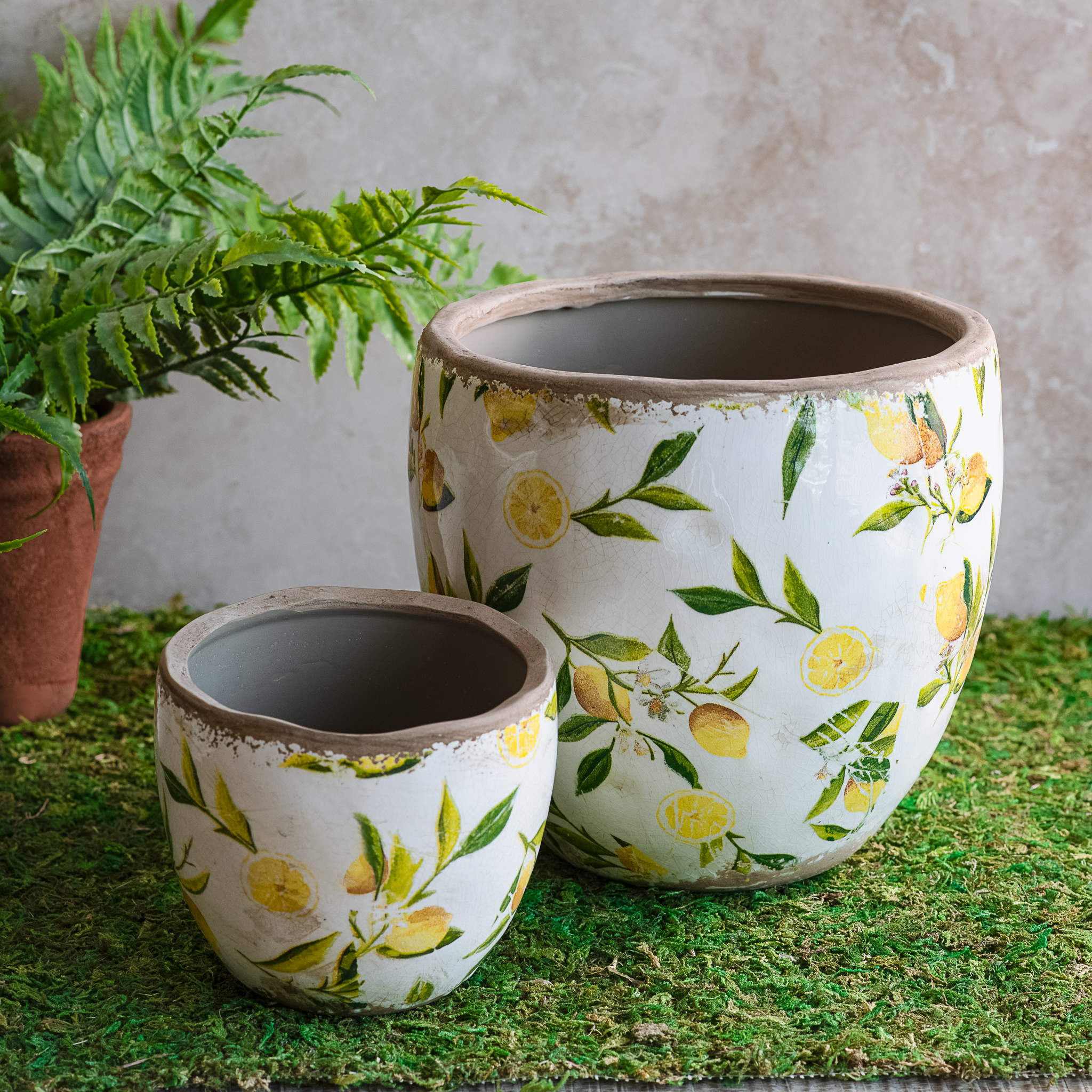 S/2 Lemon Planters