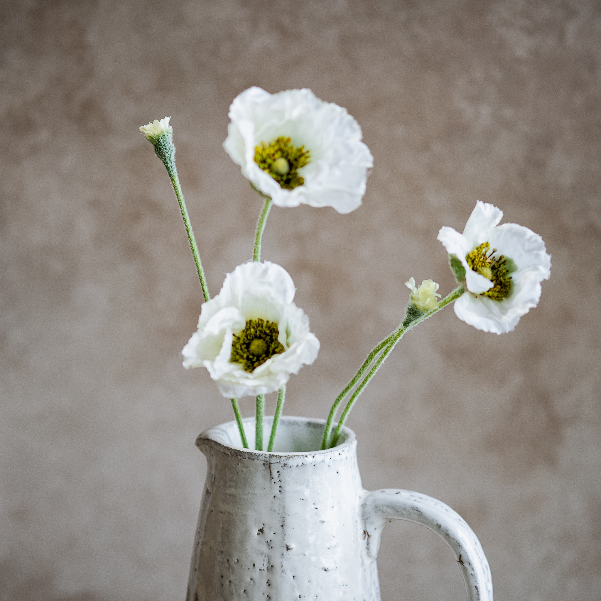 *Inner* 26" Cream Poppy Flower Stem