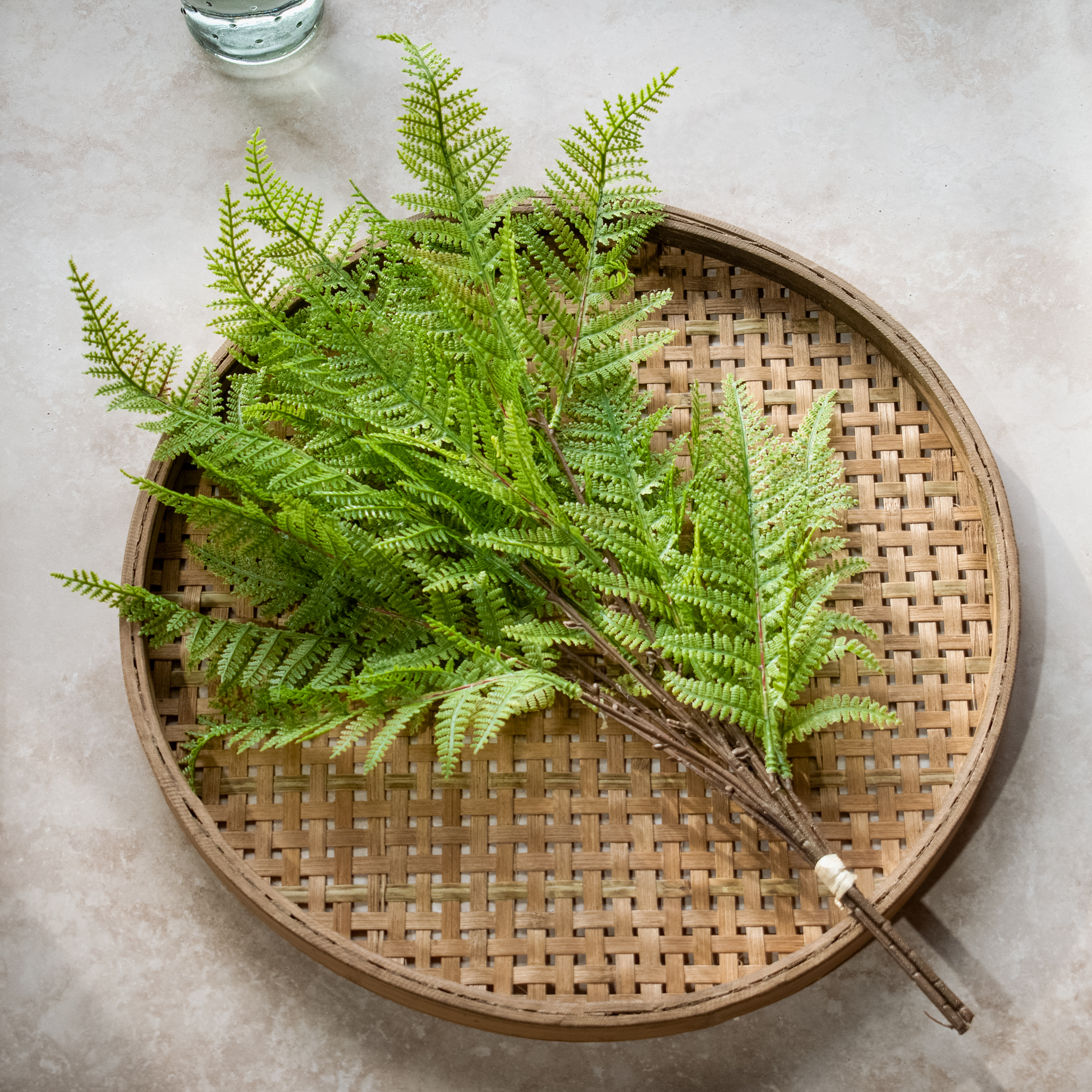 *Inner* 21" 3 Stem Fern Bundle