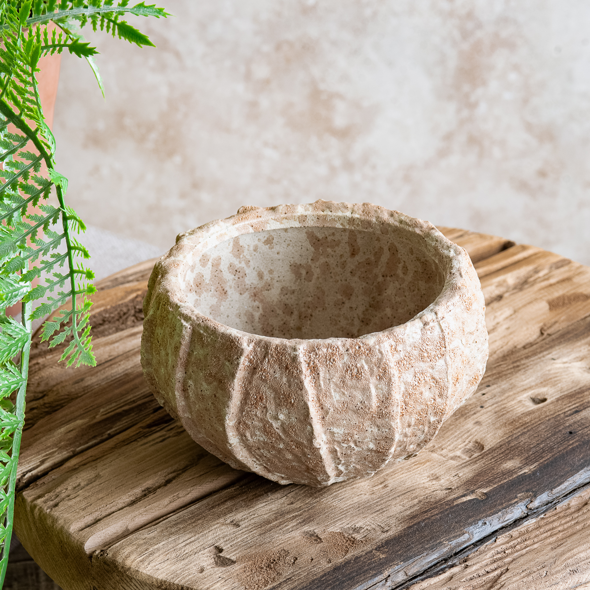 6" Rd. Beige Line Planters