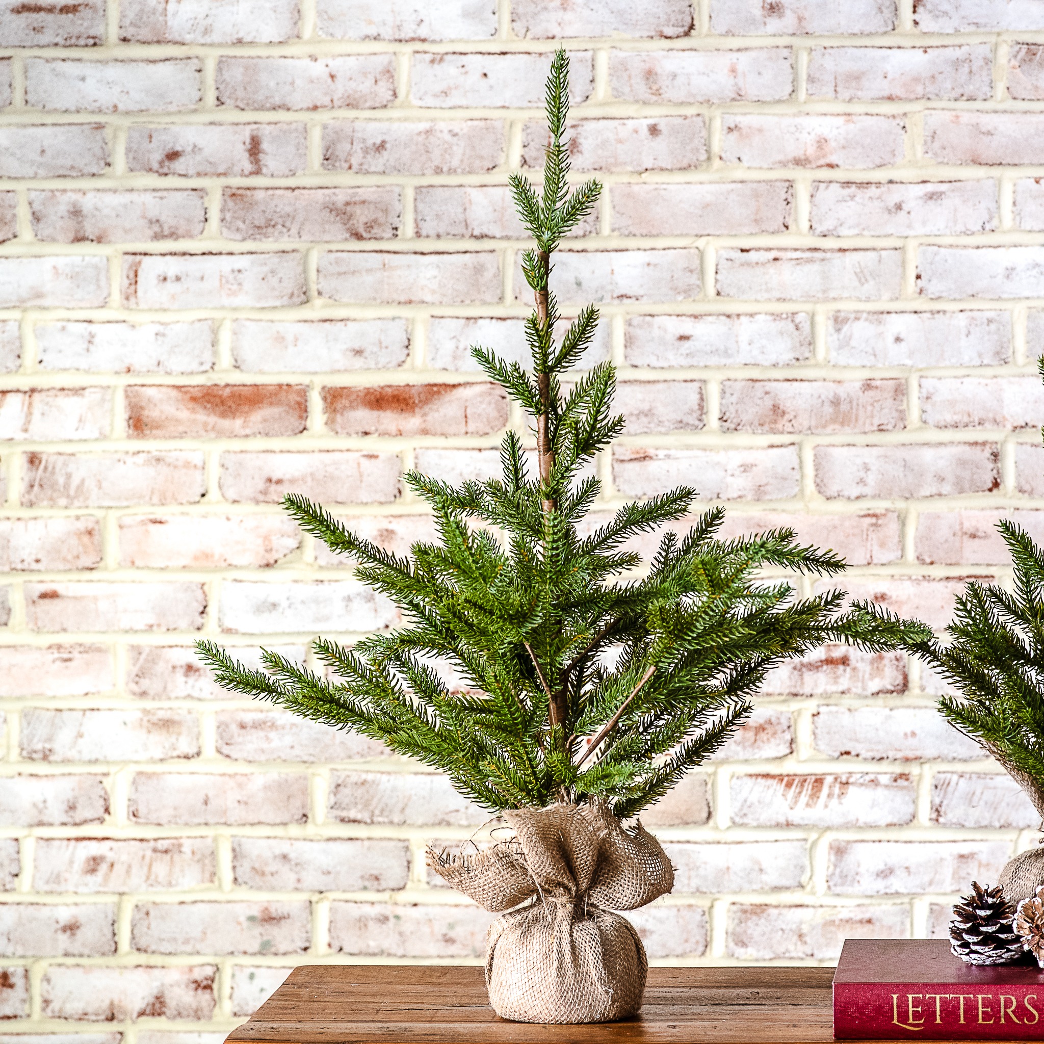 *Inner* 28" Tree With Jute Base