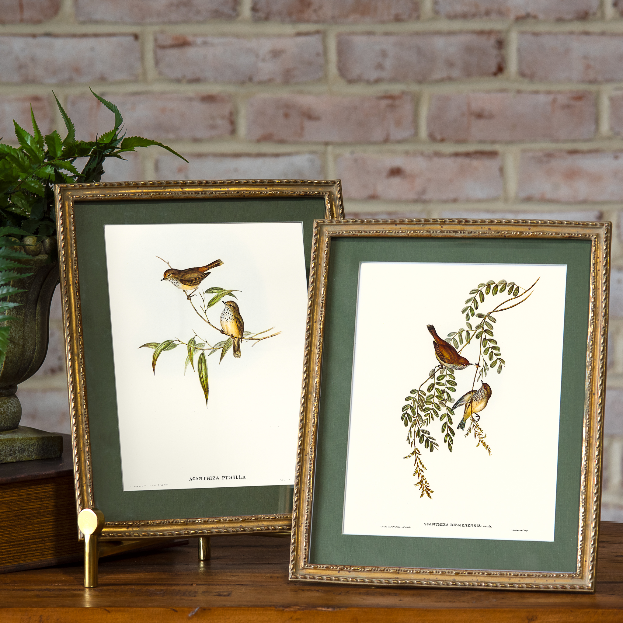 *Inner* 2 Asst. Bird Print Gold Frame Wall Art