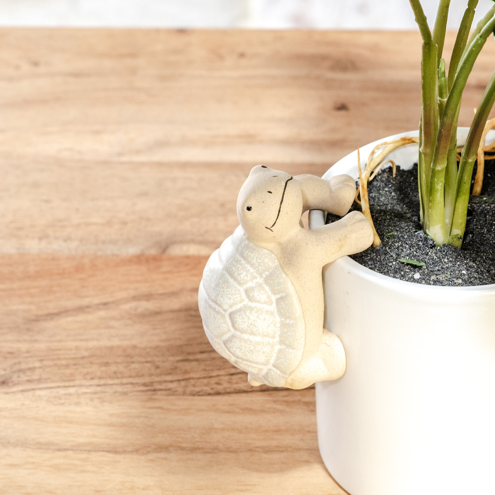 *Inner* Turtle Pot Hanger