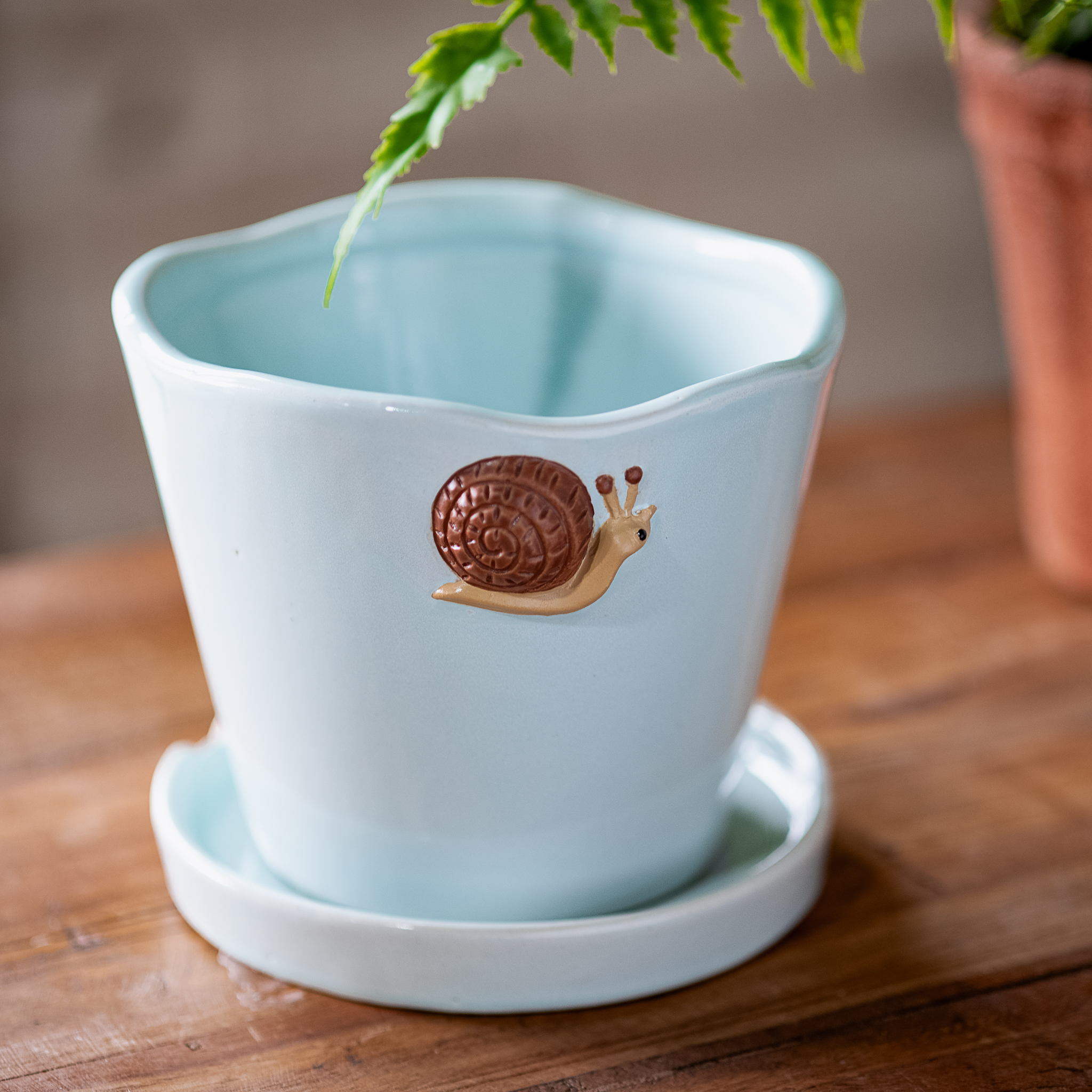 *Inner* Aqua Snail Planter