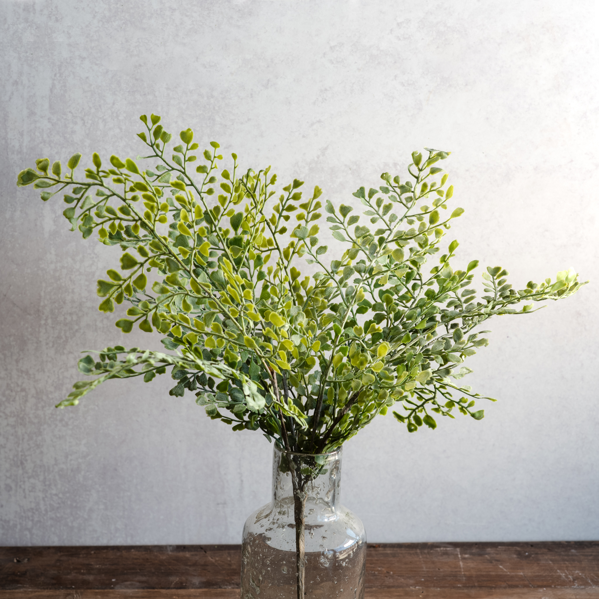 *Inner* 17" Medium Coriander Leaf Bush