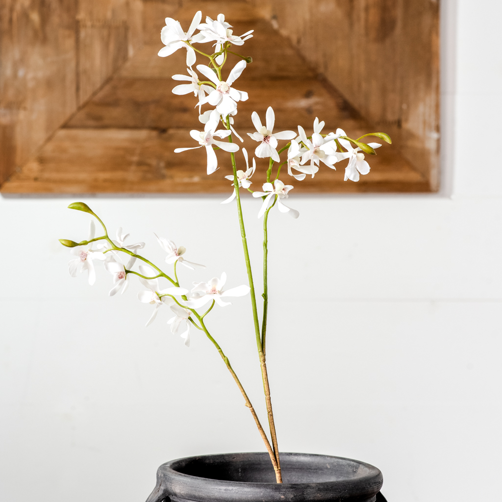 *Inner* 28" White Forsythia Stem