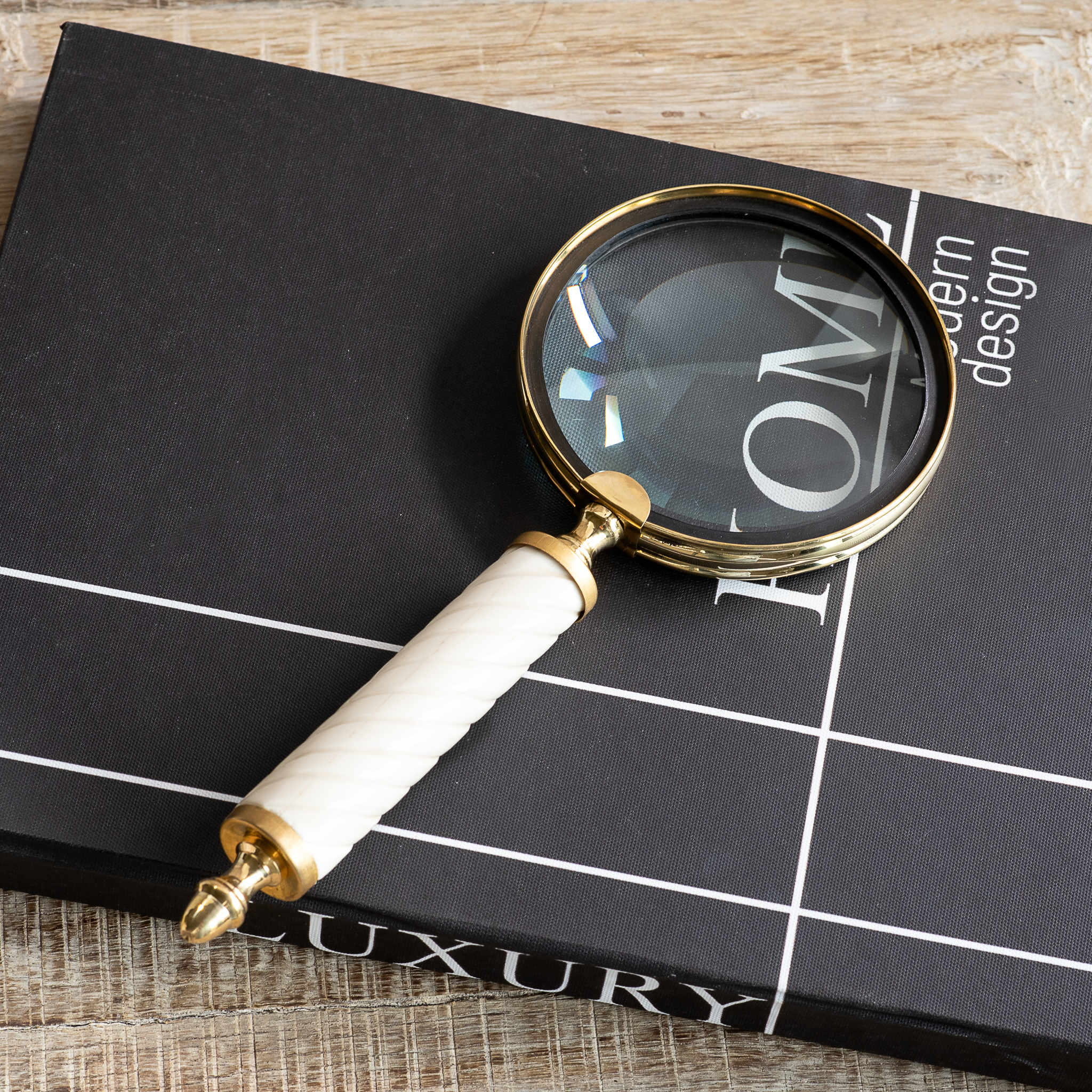 *Inner* Iv Bone Handle Magnifying Glass