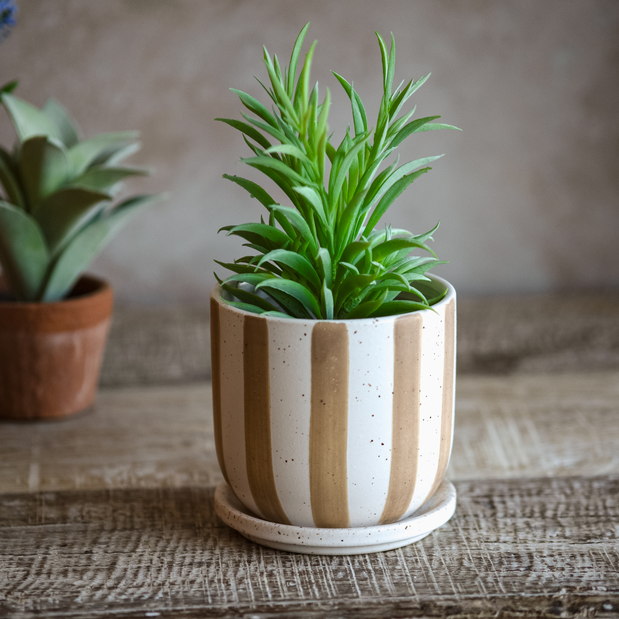 4.5" Matte Brown Stripe Ceramic Planter