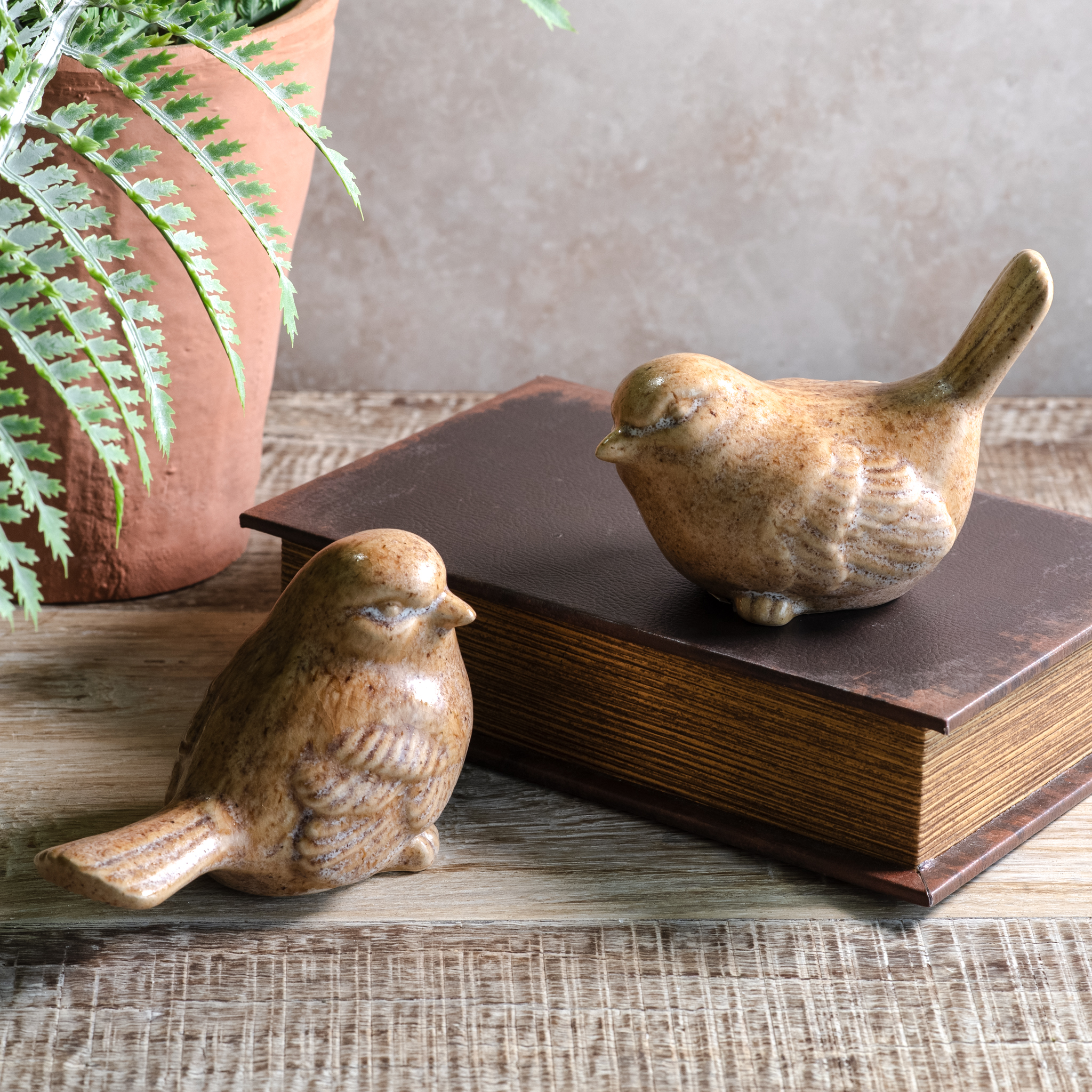 *Inner* 2 Asst. Beige Ceramic Birds