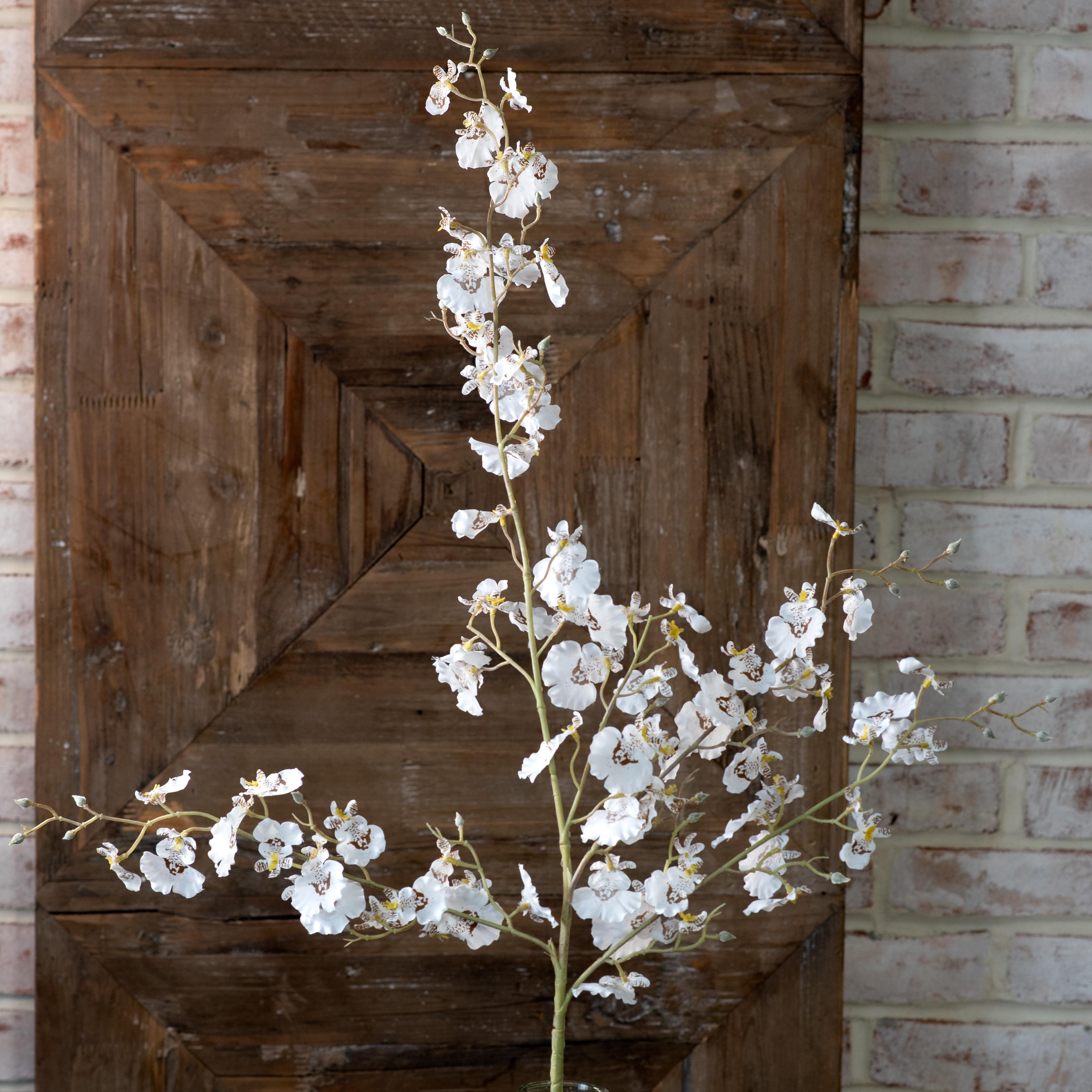 *Inner* White Dancing Lady Orchid Stem