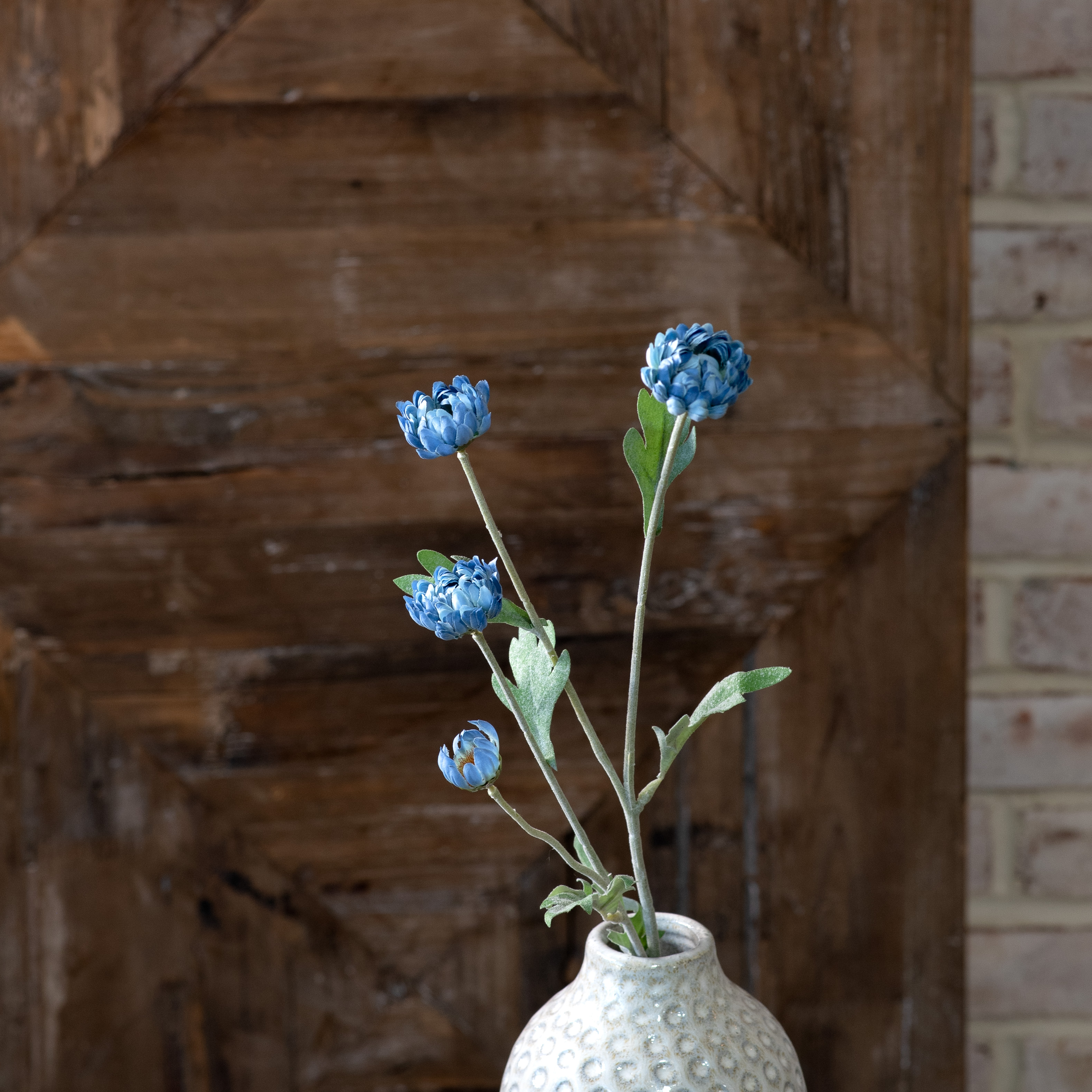 *Inner* 23" Blue Kalanchoe Stem