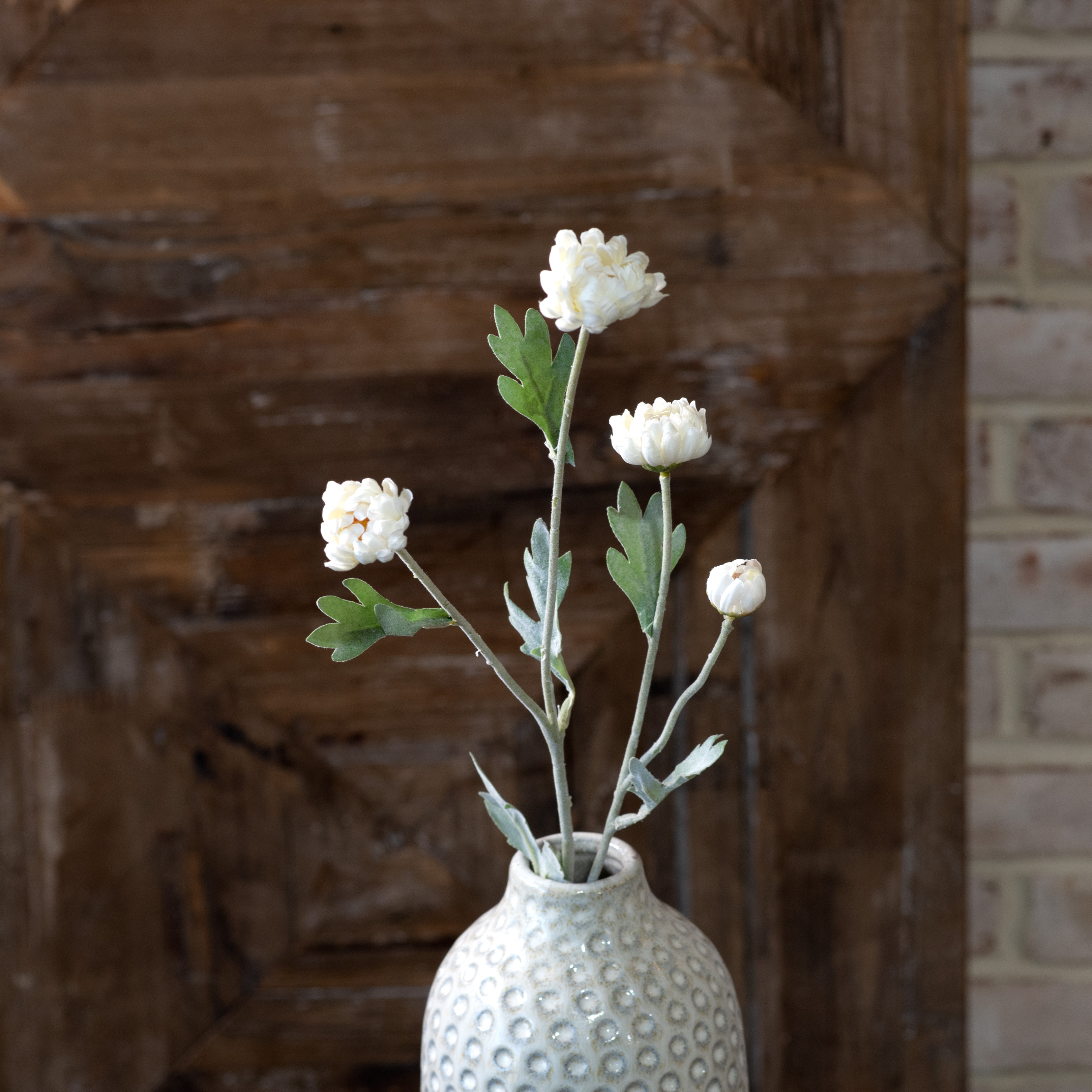 *Inner 23" White Kalanchoe Stem