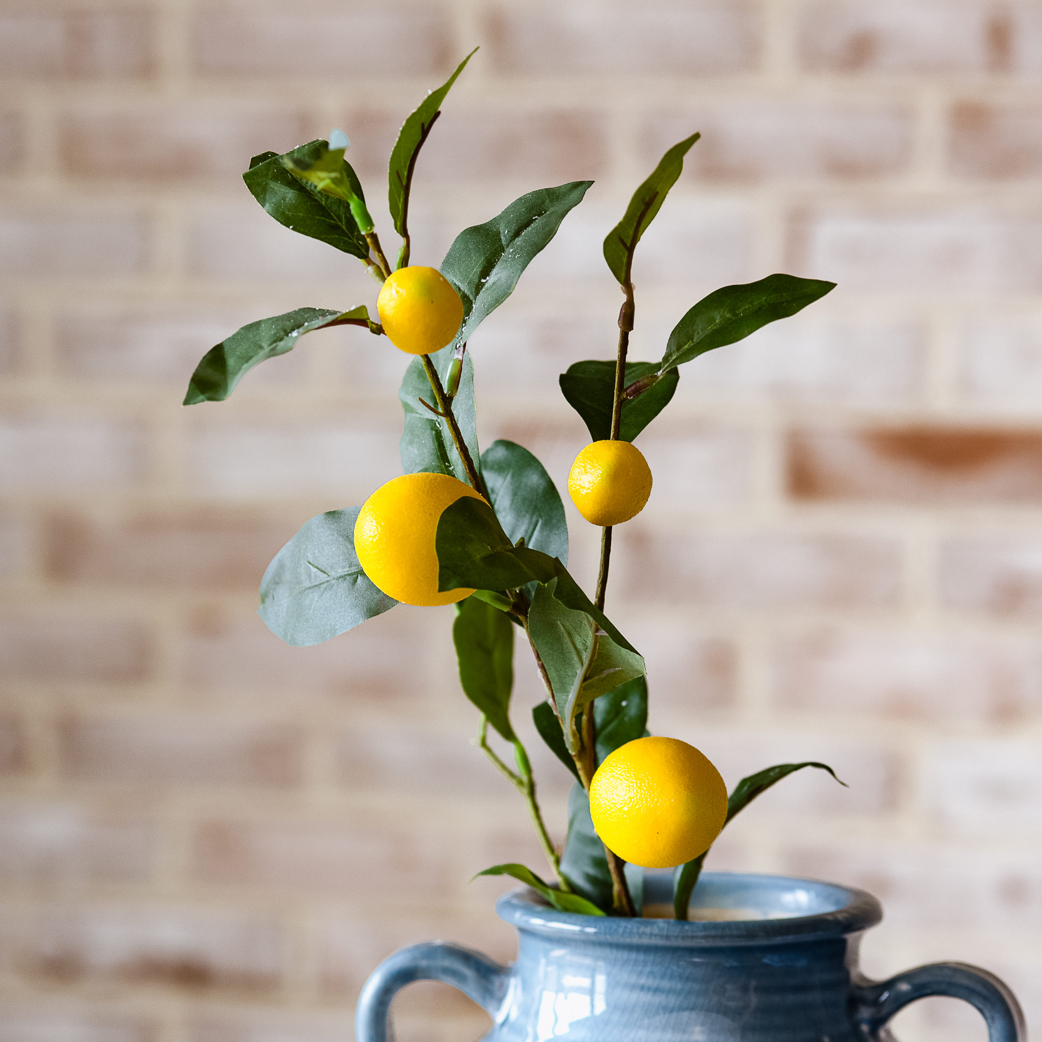 *Inner* 30" Lemon Stem