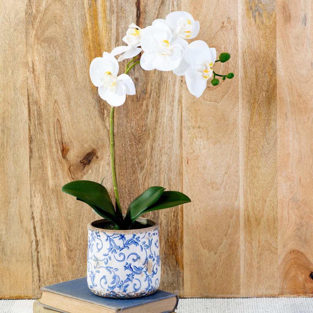 *Inner* 18" White Orchid In Pot