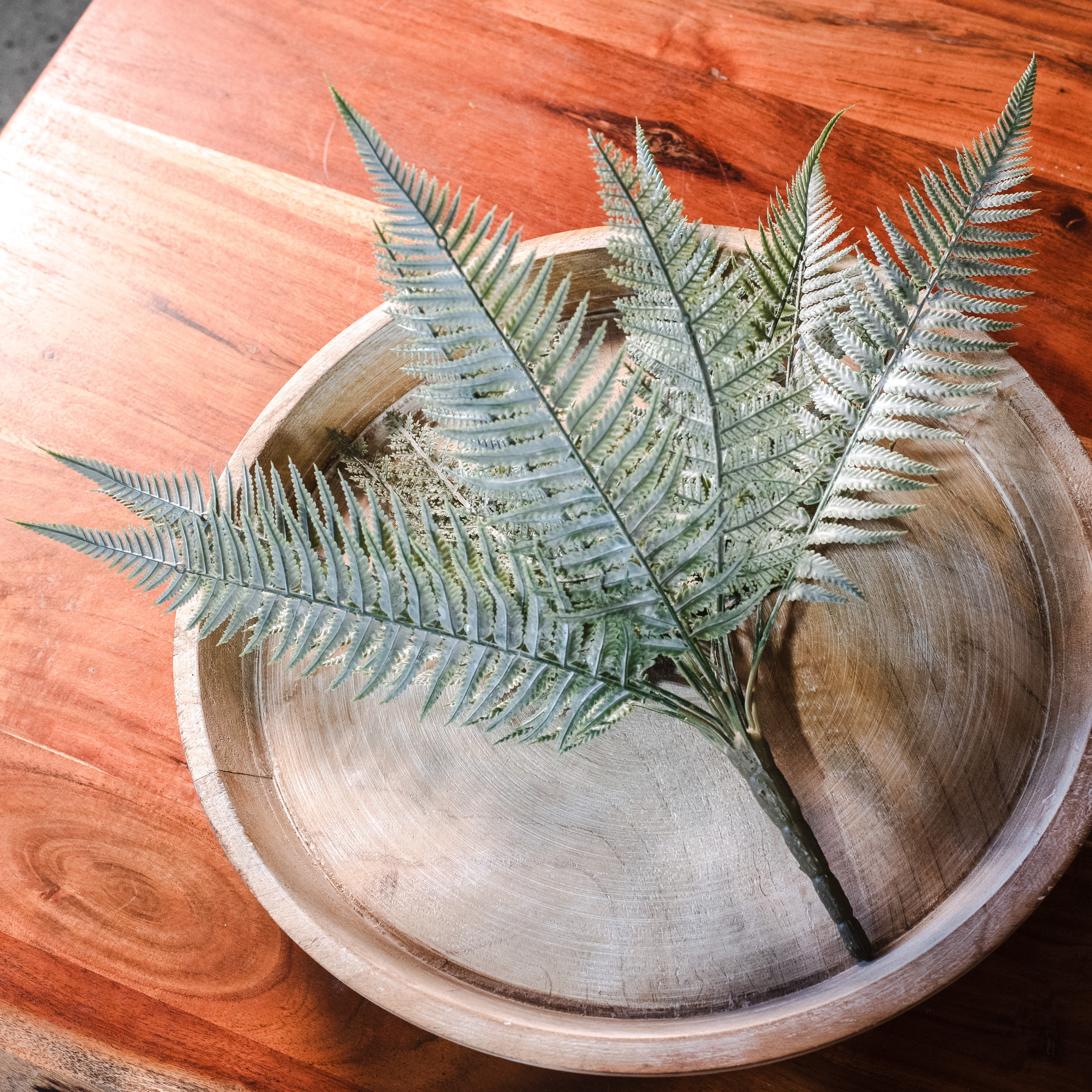 *Inner* 15.75" Fern Bush